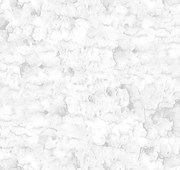 FERRUM NACAR NATURAL 50X100CM