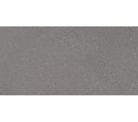 ALPHA-R PLOMO 30X60CM